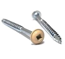 Wood Screws